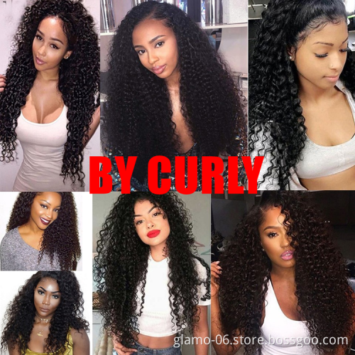 200% Density Raw HD Full Lace Human Hair Wigs For Black Women,Wholesale Braided HD Virgin Brazilian Hair Lace Front Wigs